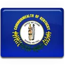 state flag