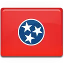 state flag
